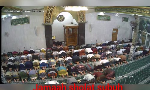 WhatsApp Image 2024-10-12 at 07.43.39